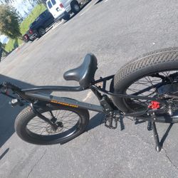 Electric bike RADROVER