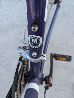 Fuji Bike