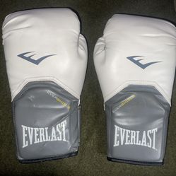Everlast Gloves 12oz , RDX T1 Pads