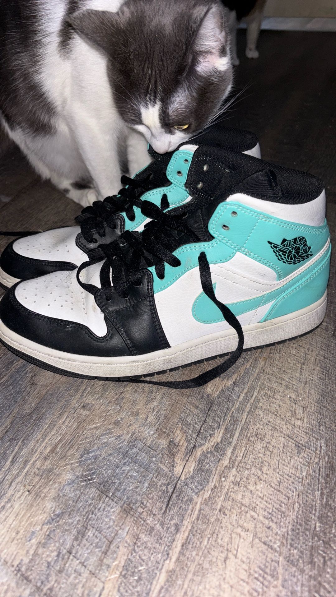 Air Jordan Mid Tropical Twist