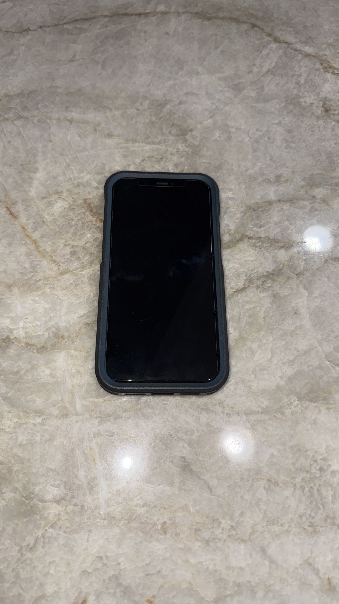 iPhone 12 Pro