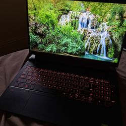 DELL GAMING/WORK LAPTOP D15 G5511
