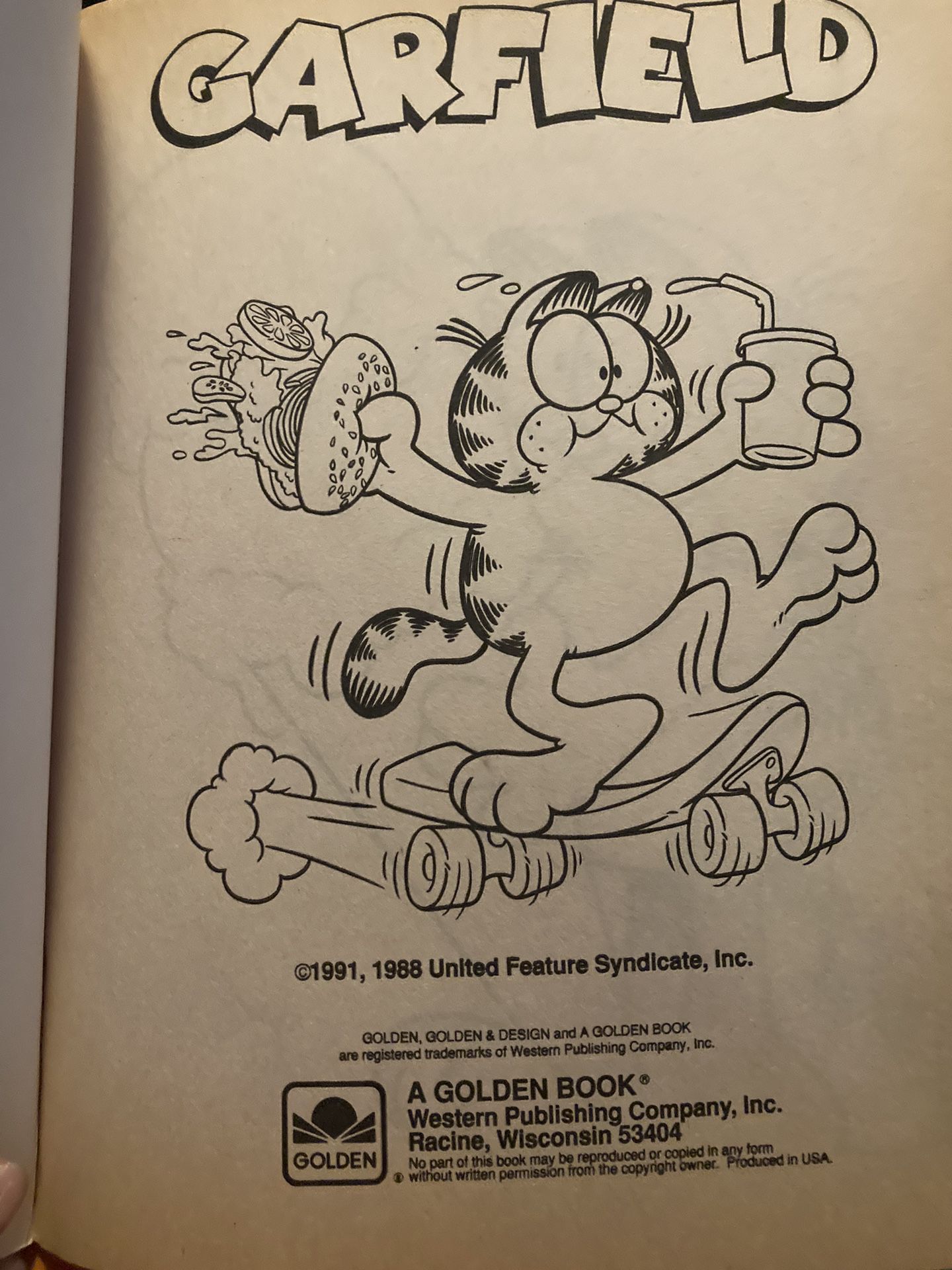 Garfield Trace & Coloring Book