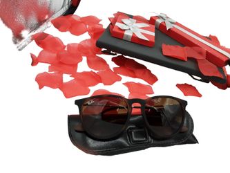 Ray-ban Rb4171 Erika Classic Brown