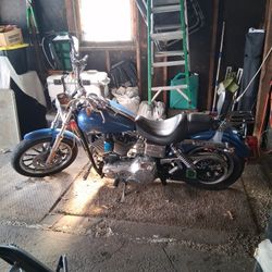 2005 Harley Davidson Dyna Low Rider 