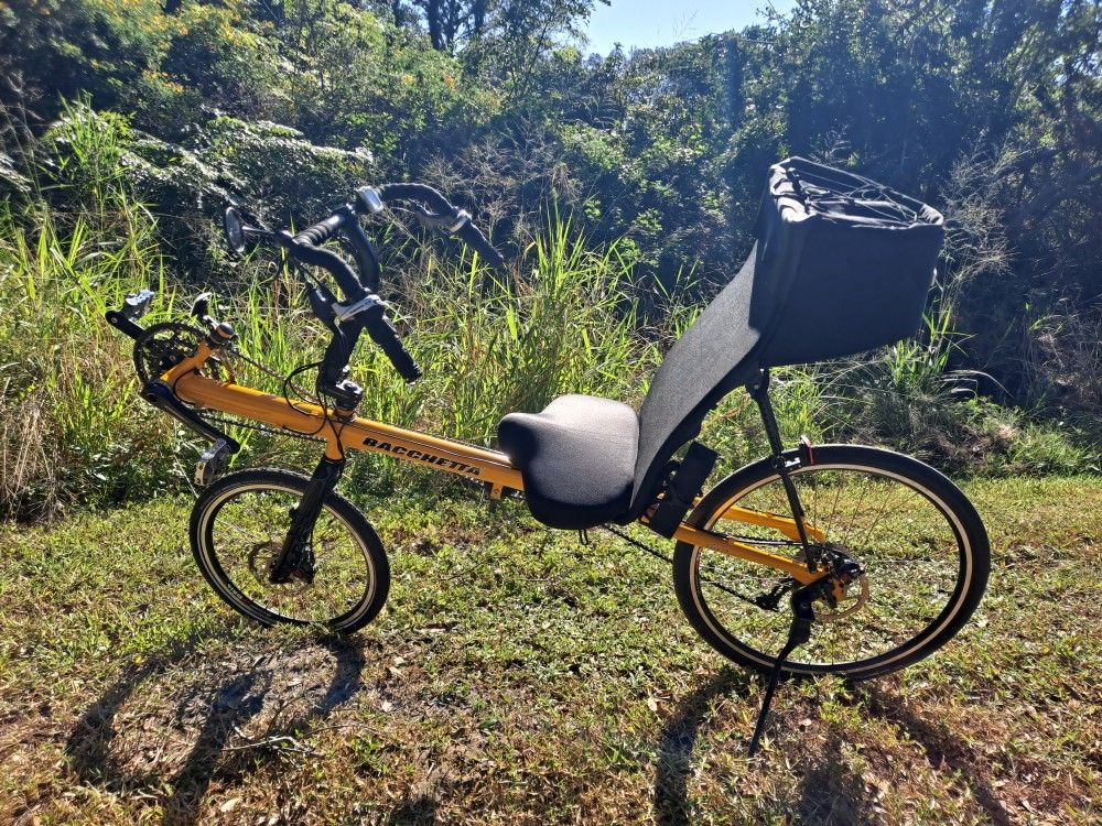 Bacchetta Giro Recumbent Bike