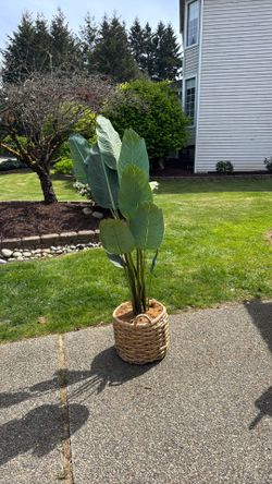 6ft Artificial Plant