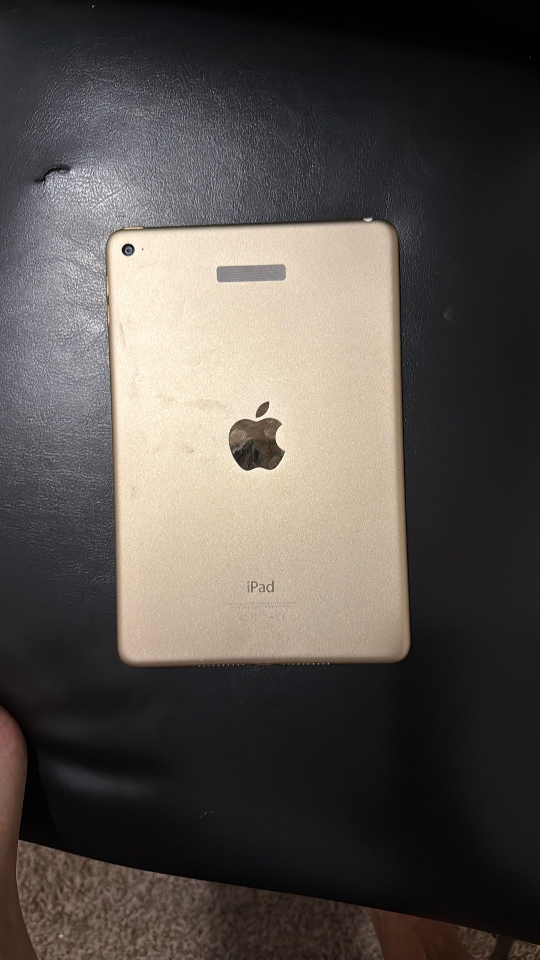 iPad Mini