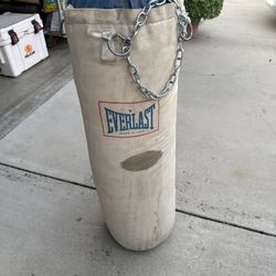 Everlast Punching Bag 