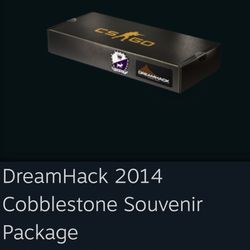 Cobblestone CS2 Gaming Case