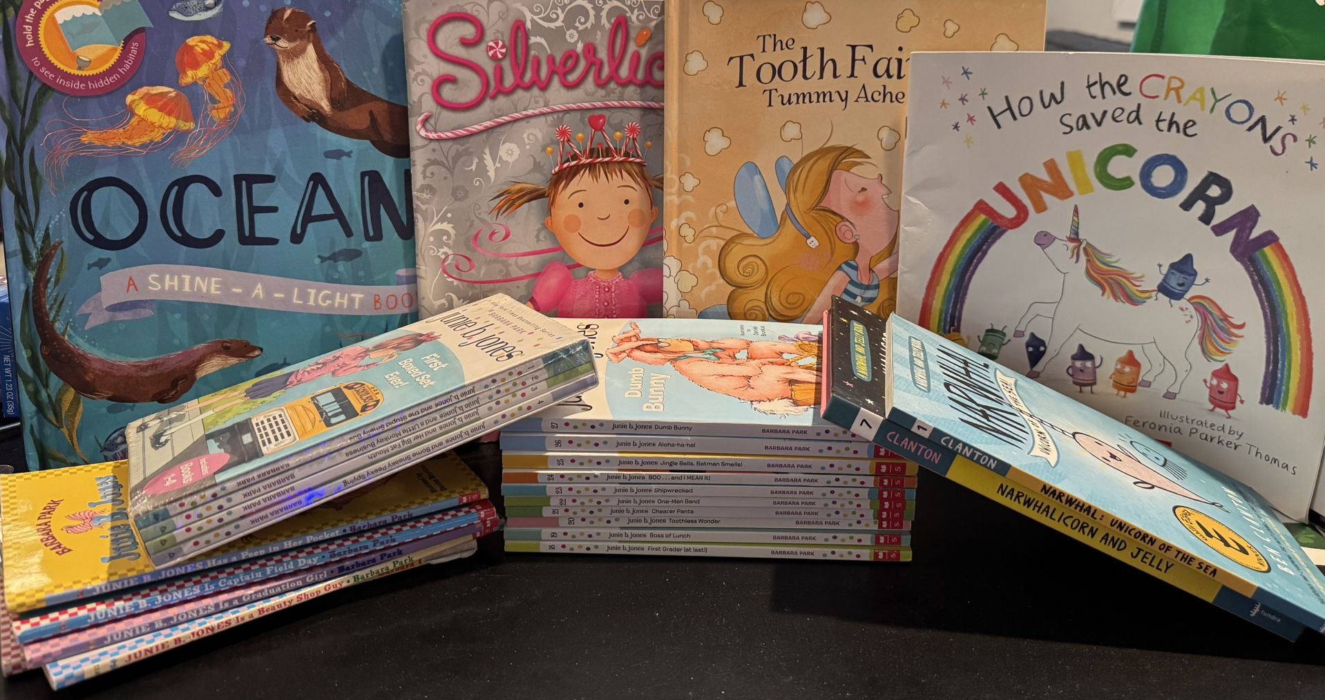 25- 1st -3rd Grade Level Books