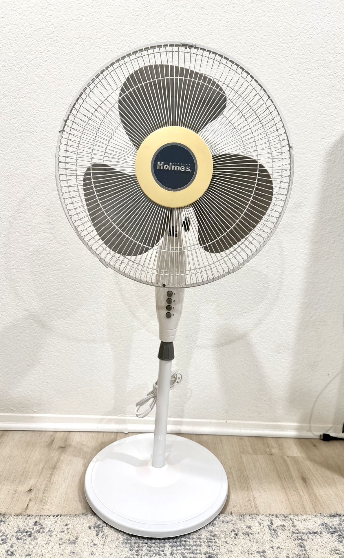 Holmes Oscillating Fan