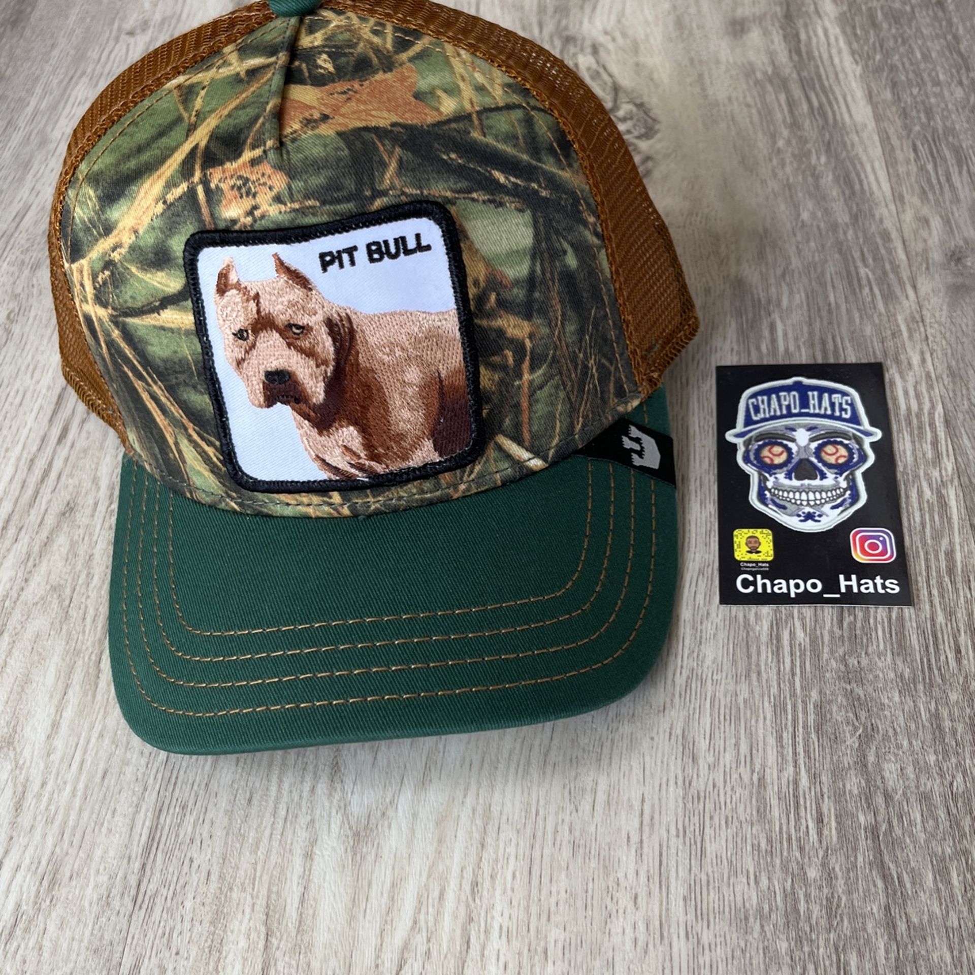 Pit Bull Goorin bros adjustable hat 🧢