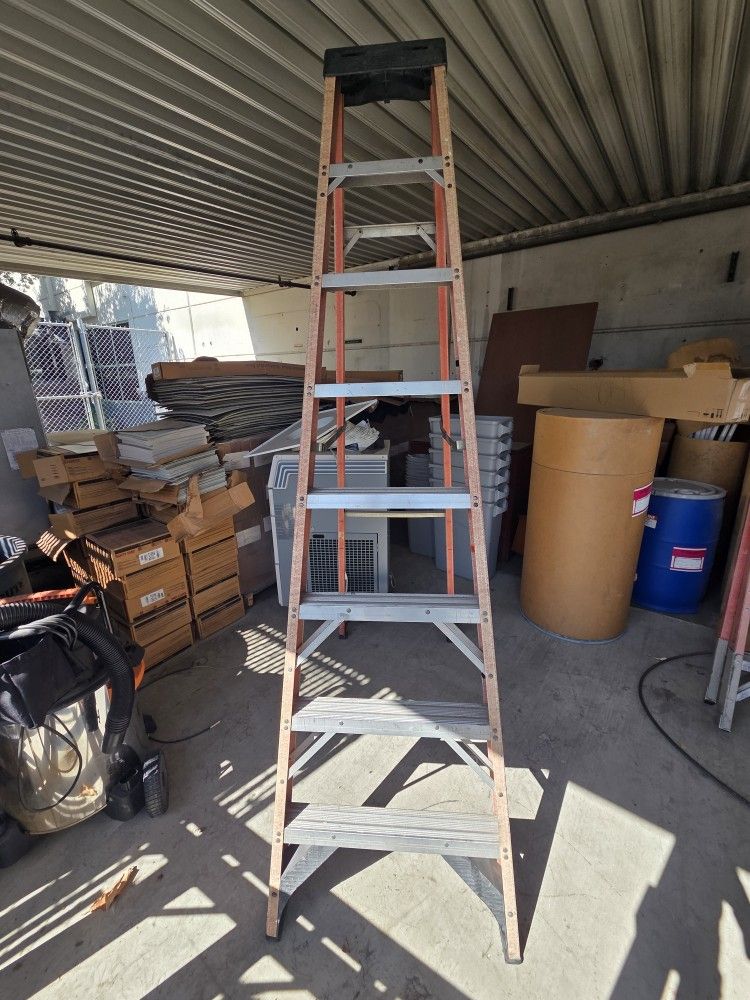 Werner Step Ladder 