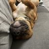 Nilo