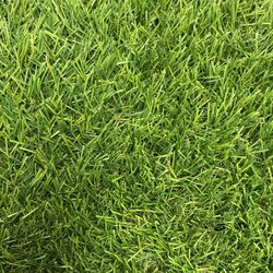 Artificial Turf - For Cheap!