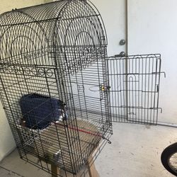 Bird Cage 
