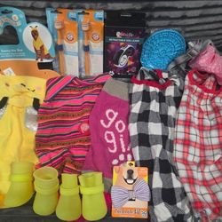 Dog Accessories Bundle