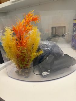 Fish tank