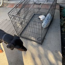 Dog Crate