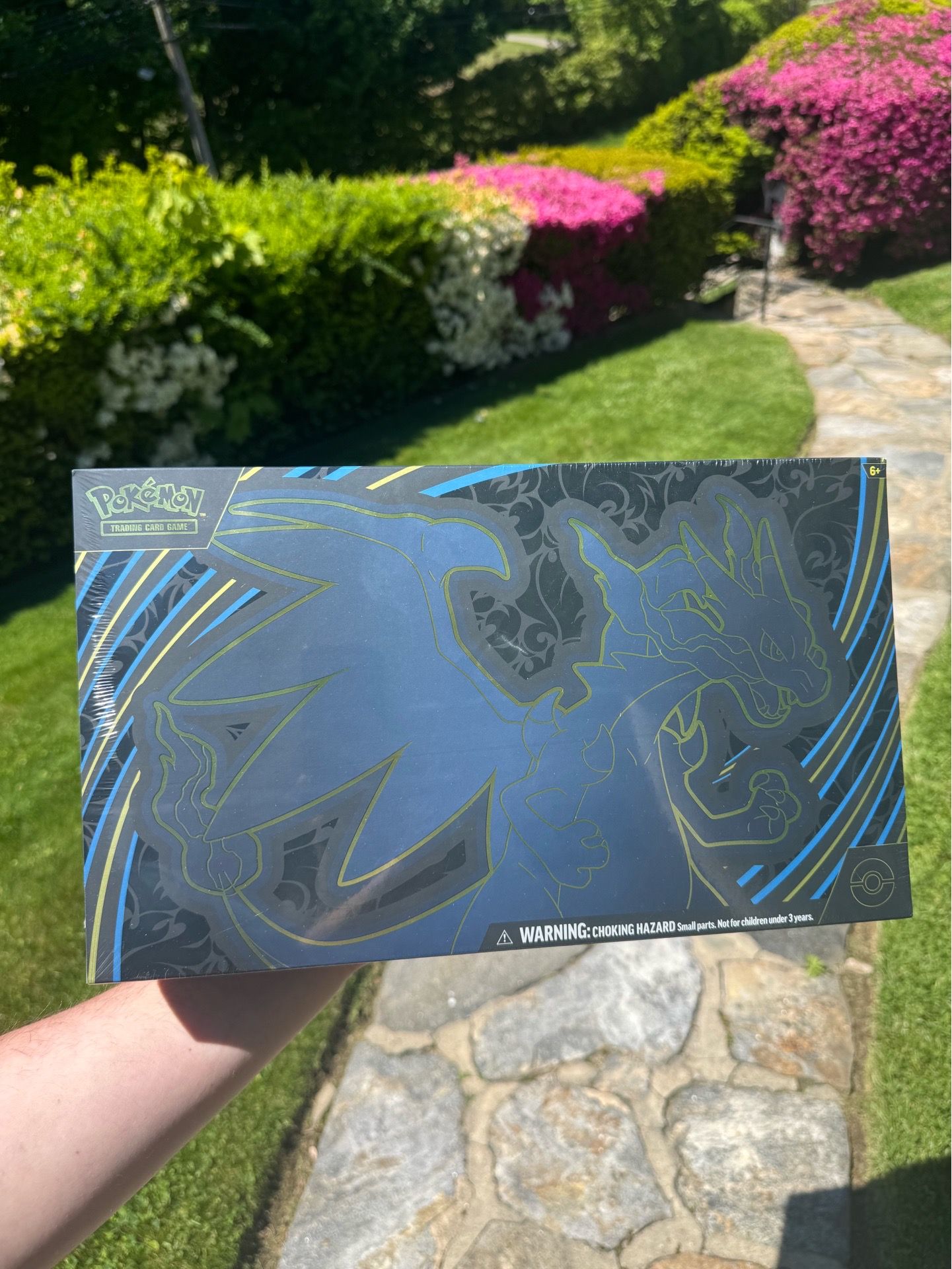 Pokemon Mega Charizard X ex Ultra Premium Collection