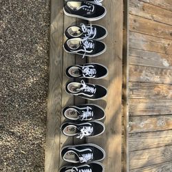 Vans Skate Shoe Size 10.5