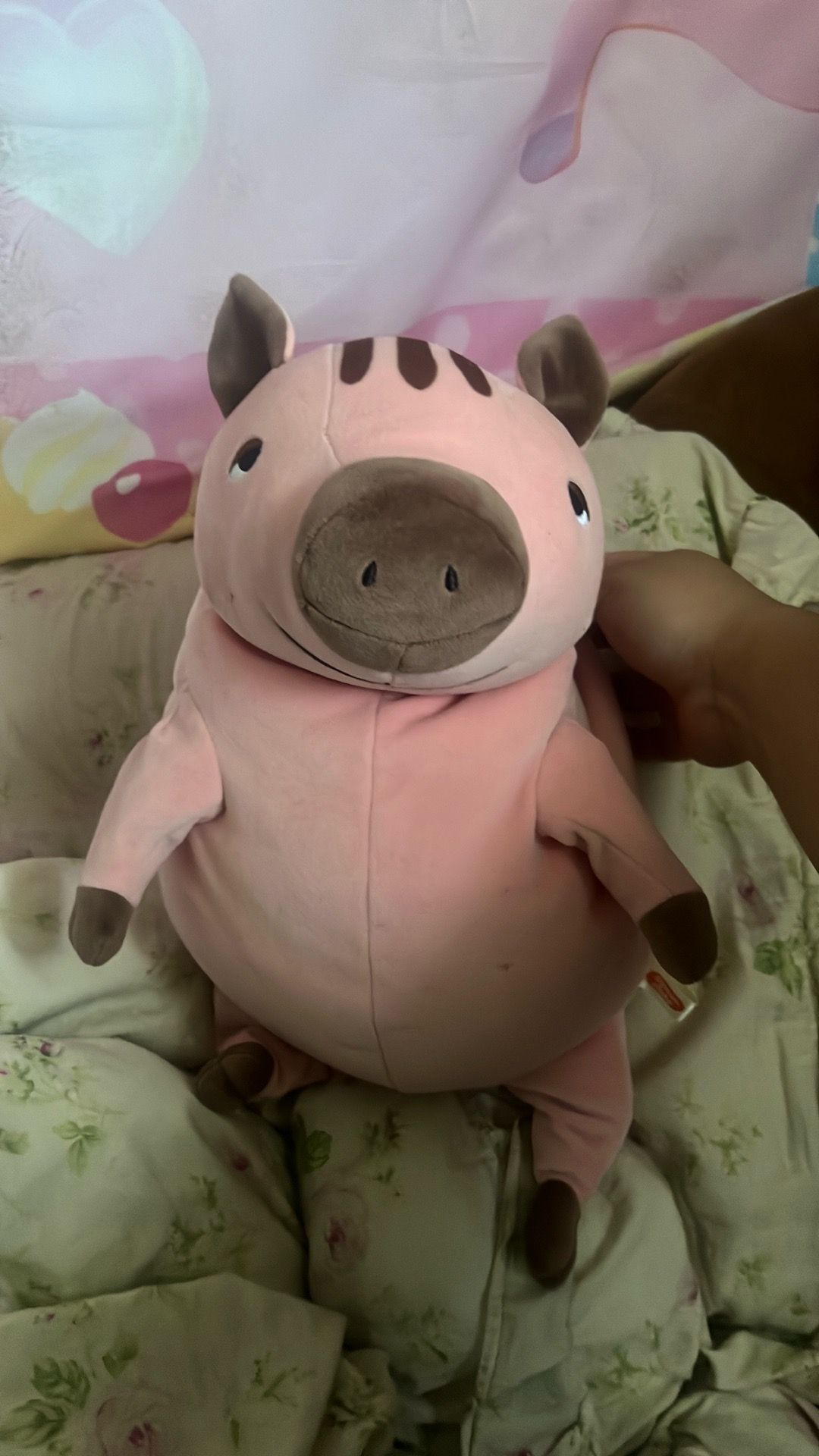 Pink Boar Shinada Global