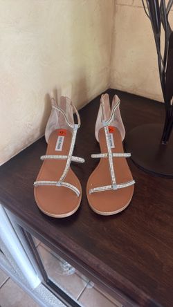 Shoes Steve Madden New/ Zapato Nuevo Sin Uso Atecen Madeen