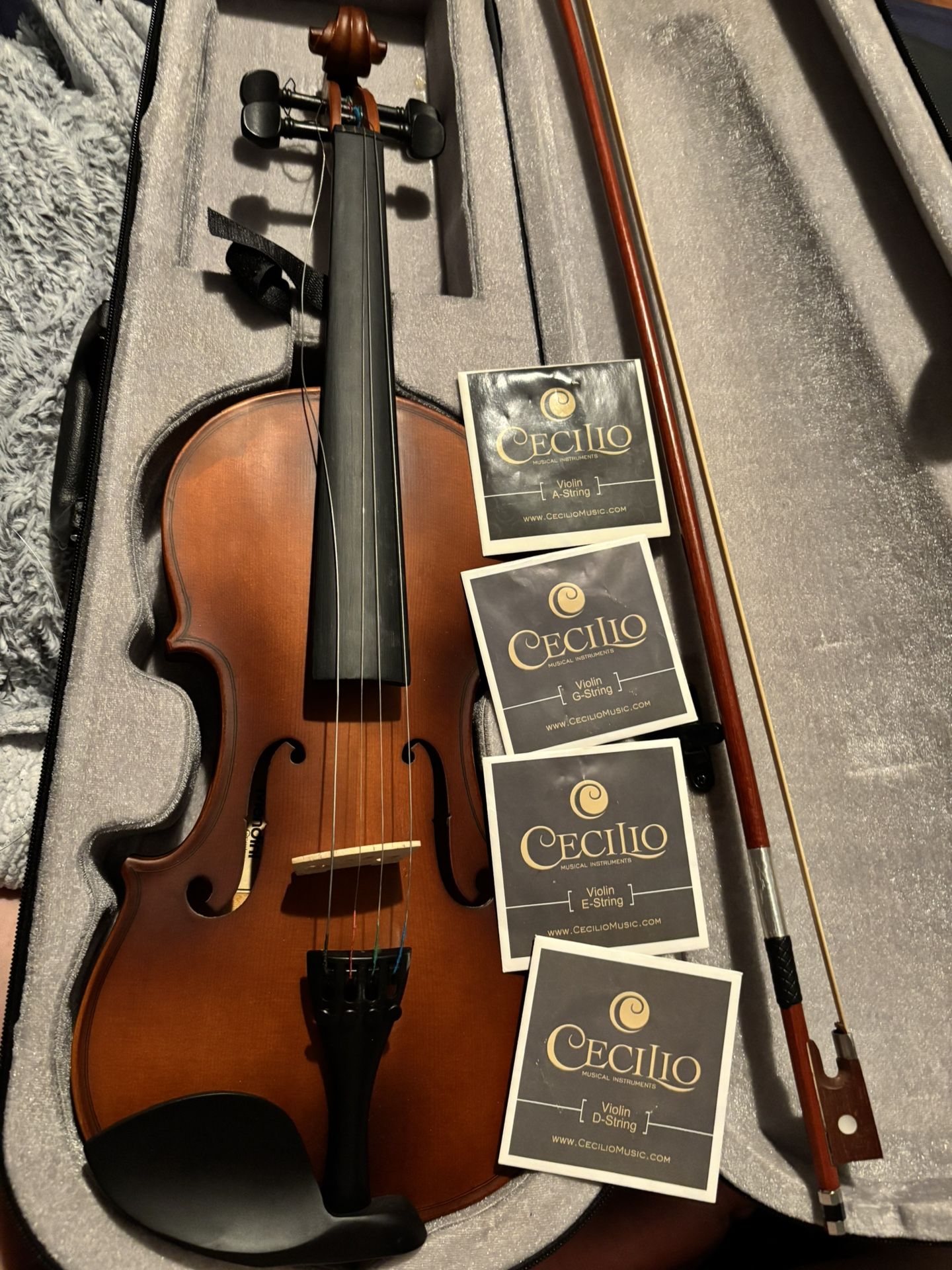 Violín With Strings
