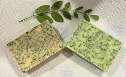 Moringa Soap