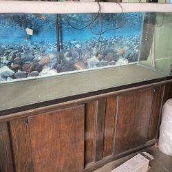 Fish Tank With Solid Wood Cabinet 