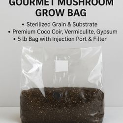 All-In-One Gourmet Mushroom Grow Bag – Sterile & Ready