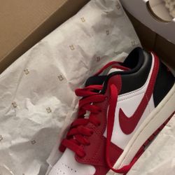 Nike Jordan Dunks, Brand New