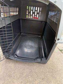 Pet Kennel