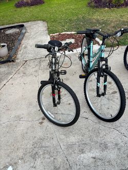 Adult bikes