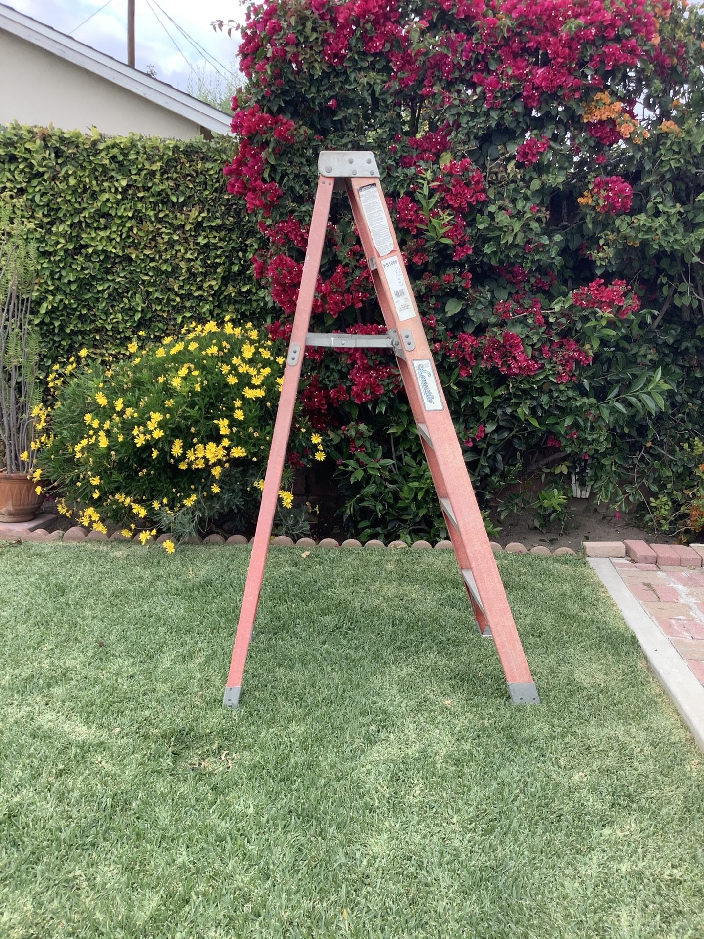 Heavy Duty 6 Foot Ladder 