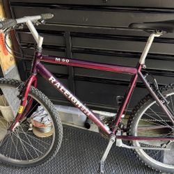Raleigh 26” Mtb.  “VINTAGE”