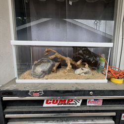 Reptile Tank