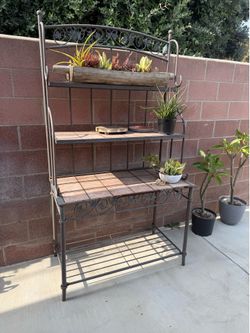 Plants stand .