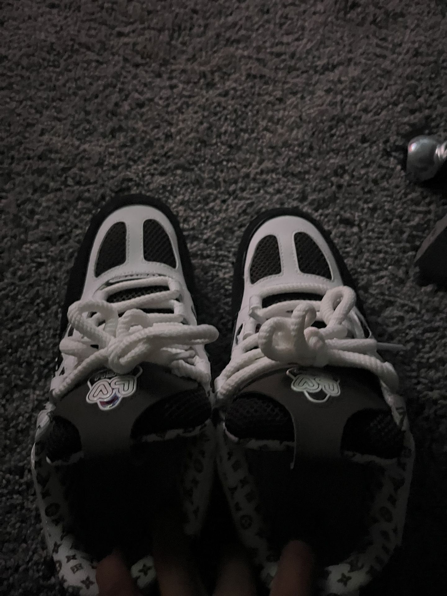 louis vuittonĀ Skates Like New