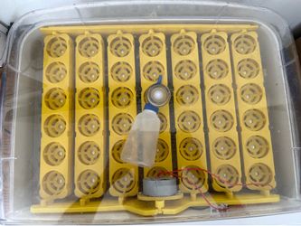Egg incubator