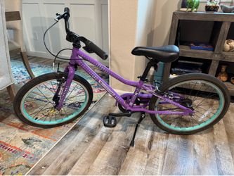 Guardian 20 inch bike