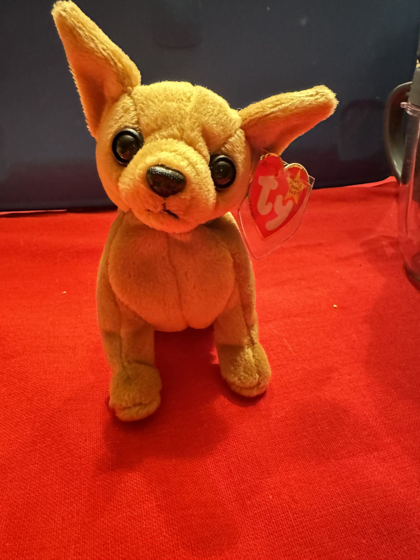 Rare Ty Beanie Baby Tiny Chihuahua Dog  Plush Stuffed Toy, Collectable 