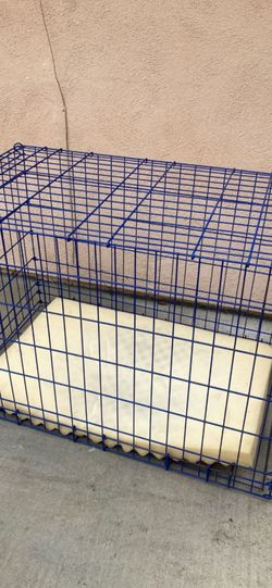 Kennel