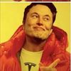 Elon Crust