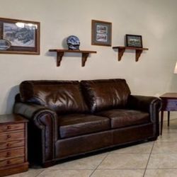 Alligator Leather Couch 