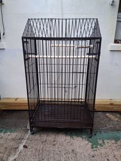 Yes, It's Available Bird Cage "Extra Large"
