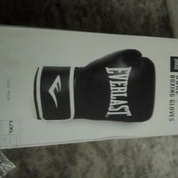 Everlast Core 2 Boxing Gloves 