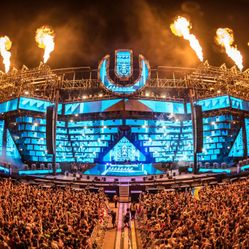 Ultra Backstage Wristbands