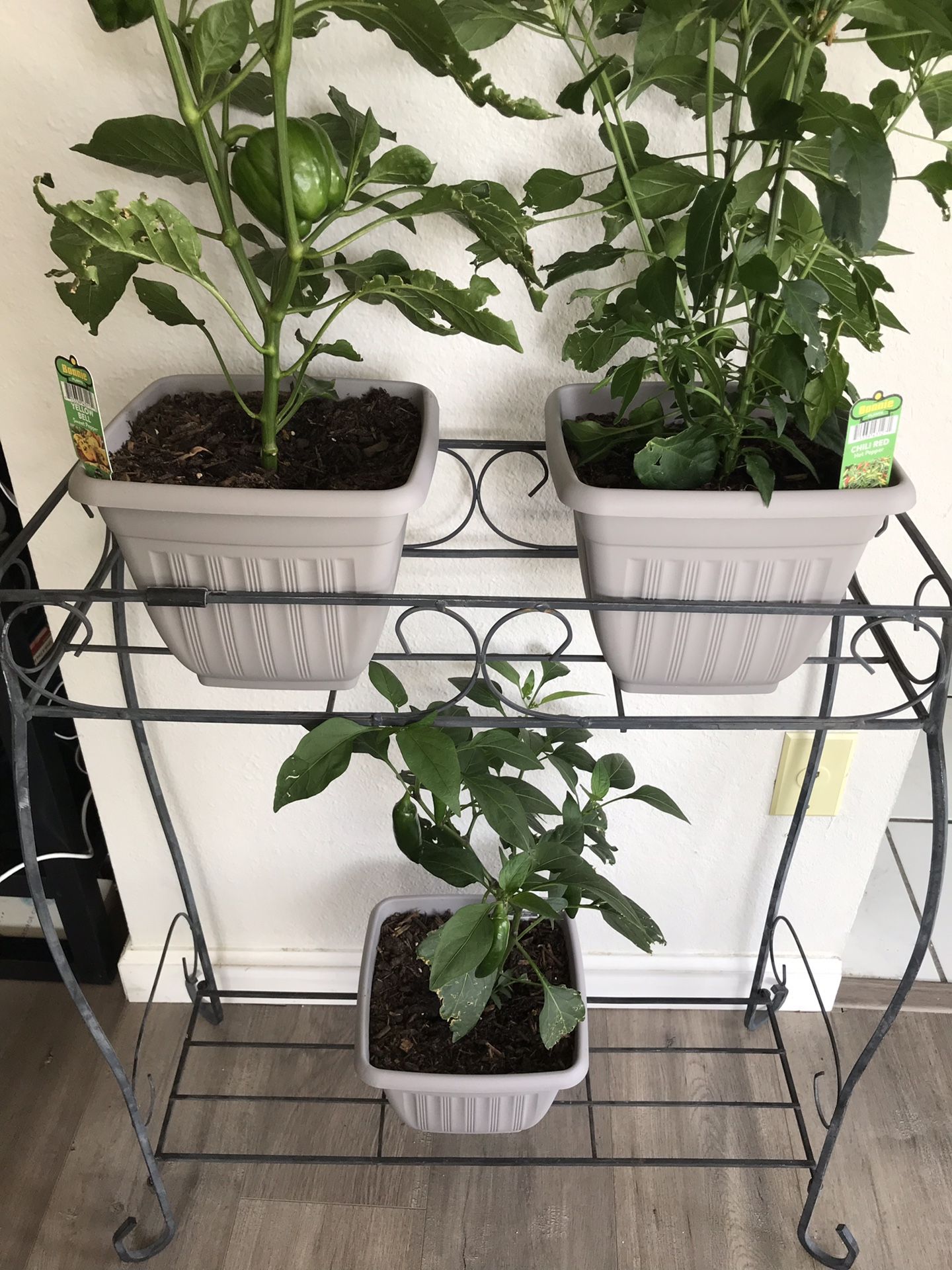black metal plant stand with 2 shelves